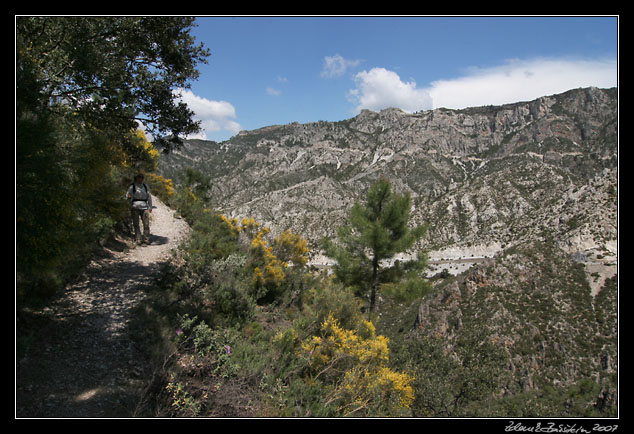 Andalucia - Sierra de Almijara - on the slope of Cerromartos