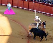 Sevilla - picador`s action in <i>tercio de varas</i>