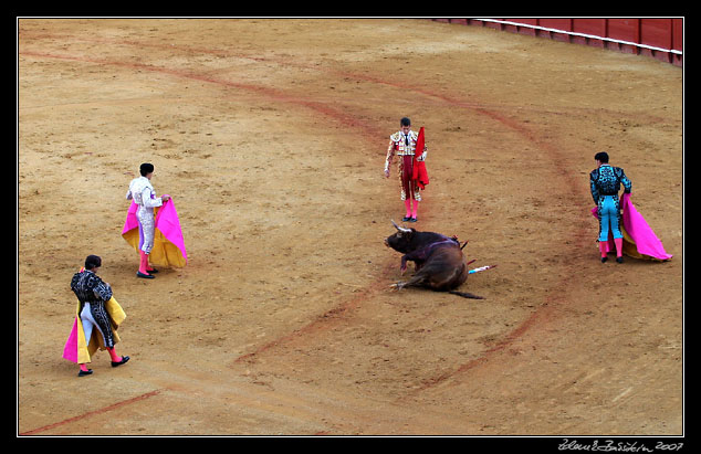 Sevilla - corrida de toros - dying...