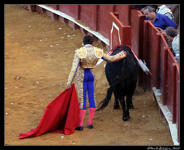 Sevilla - corrida de toros - last seconds of the bull