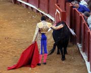Sevilla - corrida de toros - last seconds of the bull