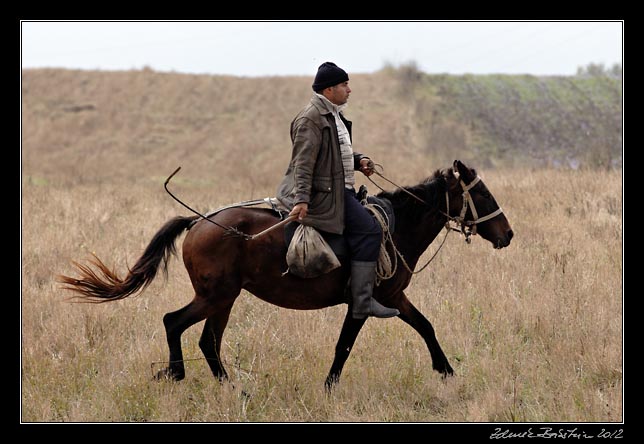 Armenia  - proud horse rider