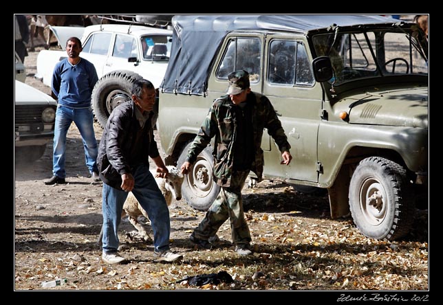 Armenia - Martuni - livestock market