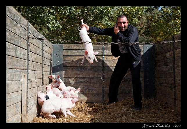 Armenia - Martuni - livestock market