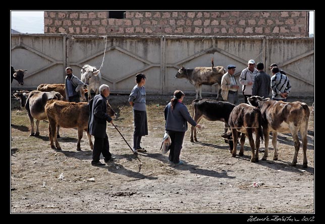 Armenia - Martuni - livestock market