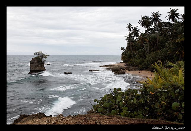 Costa Rica - Manzanillo - Manzanillo coast