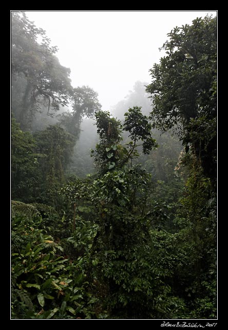 Costa Rica - Monteverde - Selvatura park