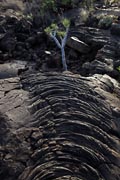 El Hierro - south - a lava flow