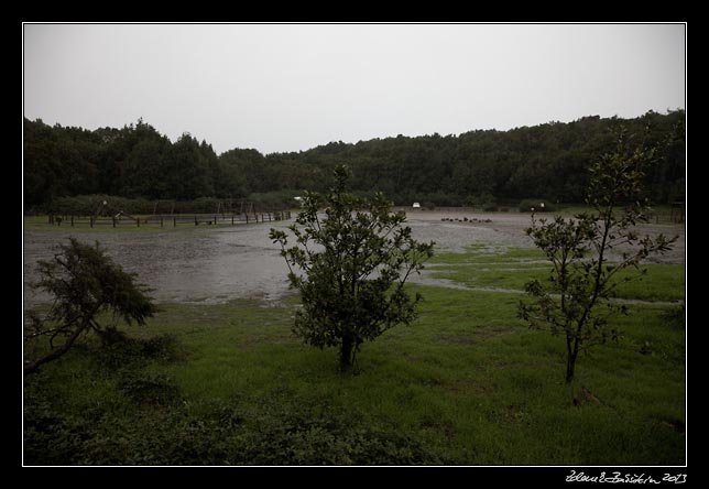 La Gomera - Laguna Grande - a meadow turned into Laguna Grande