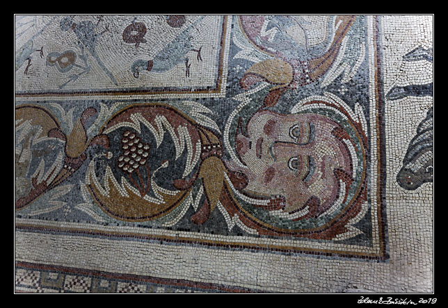 Madaba - Church of the Apostles - mosaics