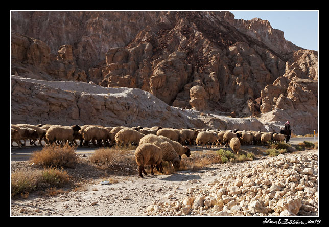 Dead Sea area - Al Tafilah highway traffic