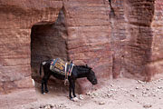 Petra - The Outer Siq