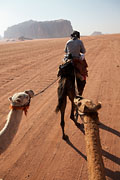 Wadi Rum - camelback ride