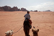 Wadi Rum - in the saddle again