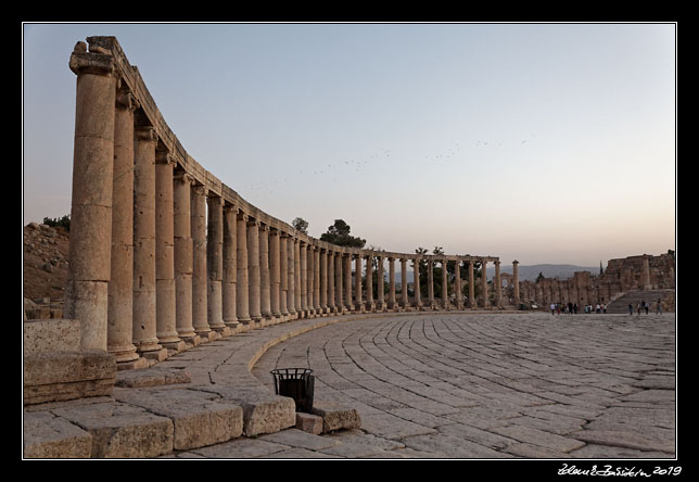 Jerash (Jarash) - Forum