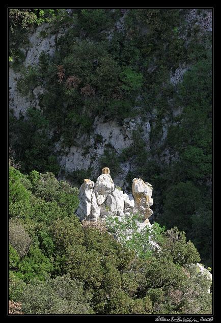 Gorges de Galamus -