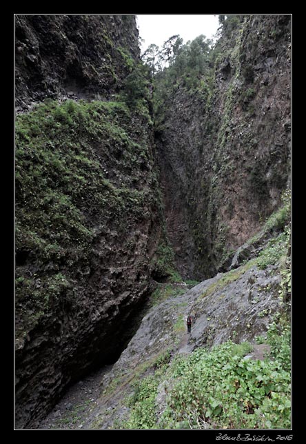 La Palma - Barranco de la Madera - end of the gorge