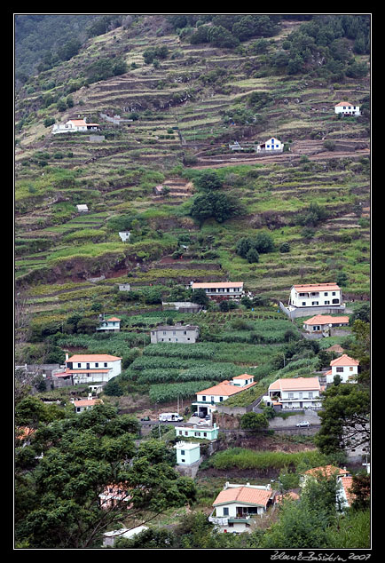 fields at Machico