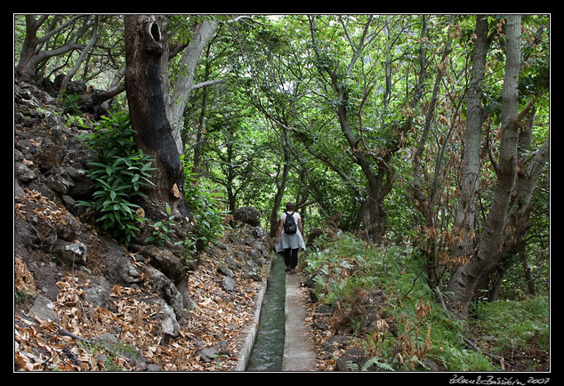 Levada do Curral