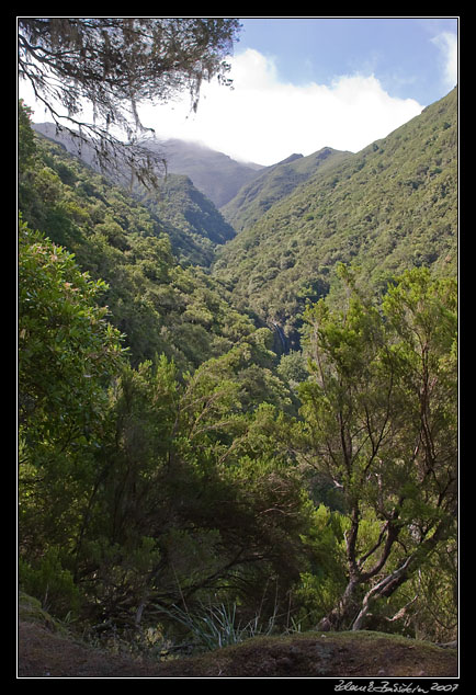 a view from Levada do Caldeirao