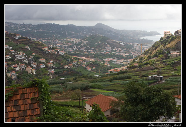 Camara de Lobos to Funchal