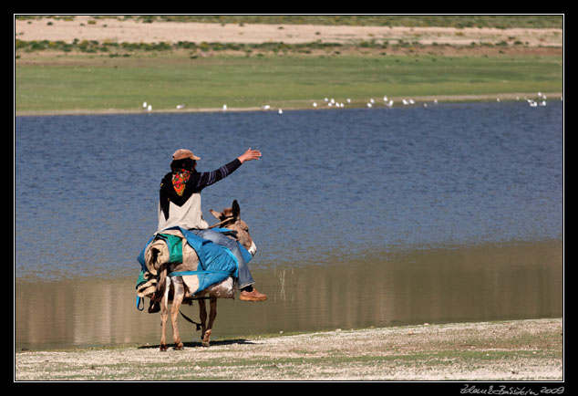 Turkey - Ahlat area - Nemrut Daği, a shepherd