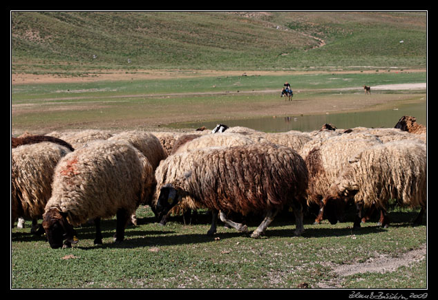 Turkey - Ahlat area - Nemrut Daği, in the crater