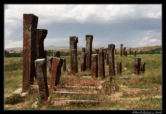 Turkey - Ahlat area - Ahlat, Seljuk cemetery