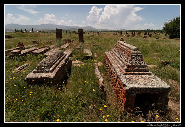 Turkey - Ahlat area - Ahlat, Seljuk cemetery