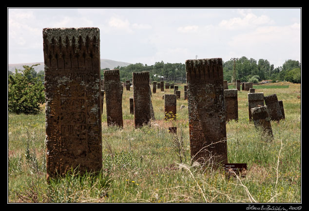 Turkey - Ahlat area - Ahlat, Seljuk cemetery