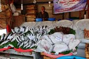Istanbul - fish market, Karaky