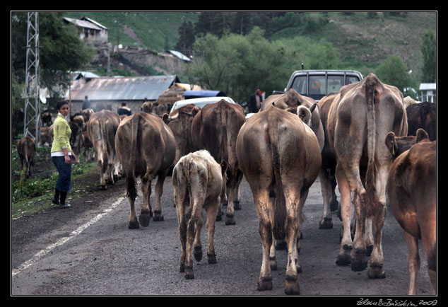 Turkey, Kars province