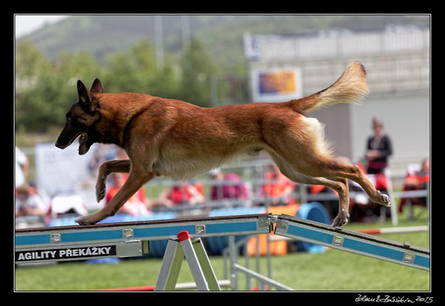 FMBB 2015, Agility 1, 8.5.2015