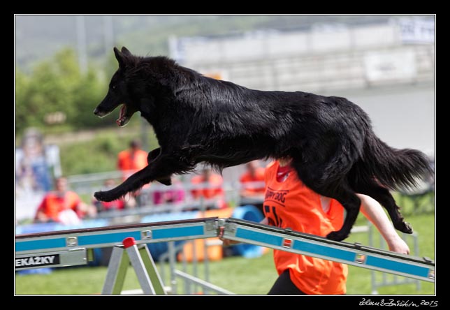 FMBB 2015, Agility 1, 8.5.2015