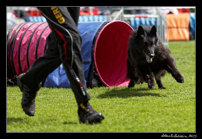 FMBB 2015, Agility 1, 8.5.2015