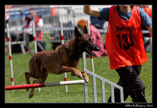 FMBB 2015, Agility 1, 8.5.2015