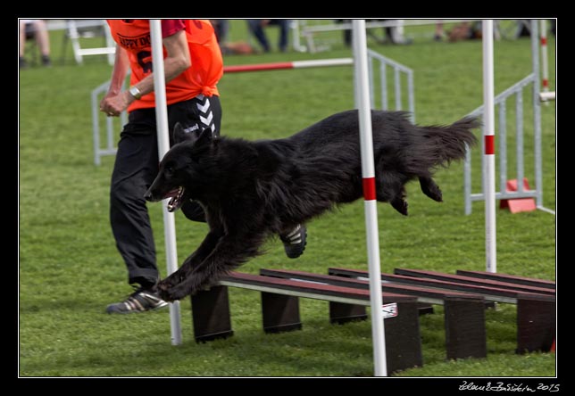 FMBB 2015, Agility 1, 8.5.2015