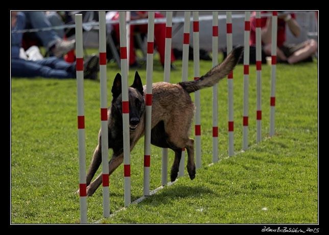 FMBB 2015, Agility 1, 8.5.2015