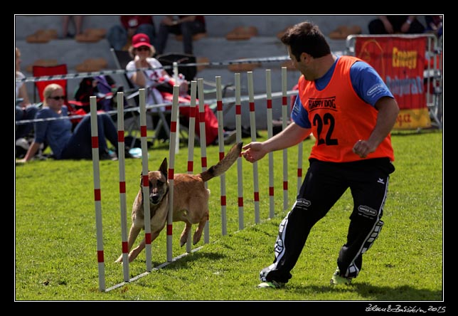 FMBB 2015, Agility 1, 8.5.2015