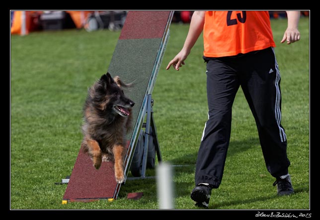 FMBB 2015, Agility 1, 8.5.2015