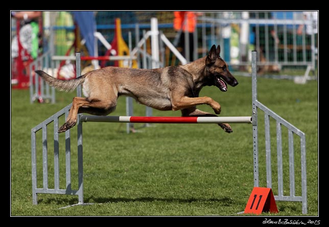 FMBB 2015, Agility 1, 8.5.2015