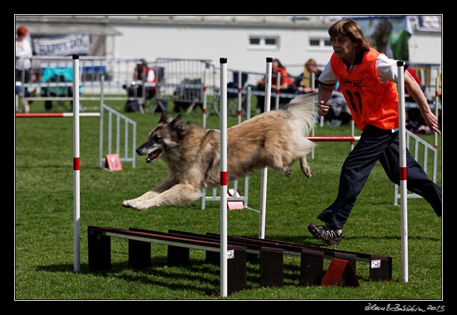 FMBB 2015, Agility 1, 8.5.2015