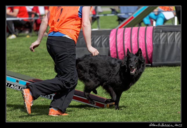 FMBB 2015, Agility 1, 8.5.2015