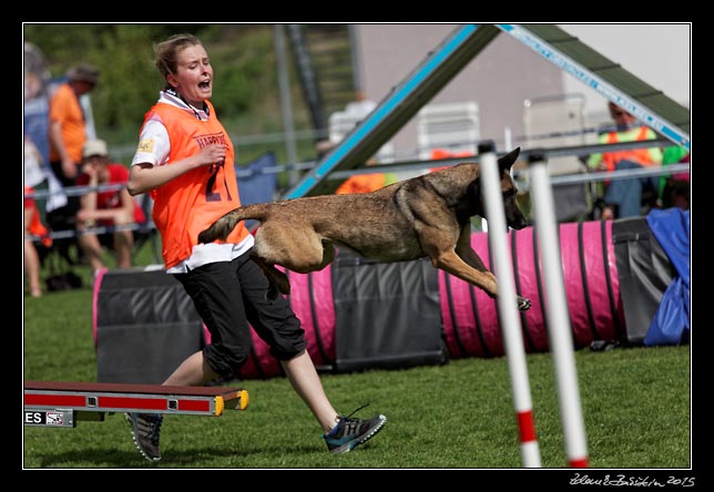 FMBB 2015, Agility 1, 8.5.2015