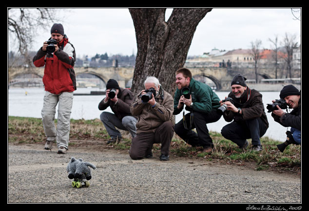 Wildlife photography workshop