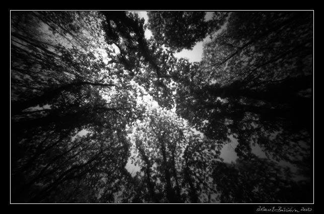 PinholeDay 2010 -