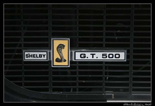 US cars Luštěnice 2009 - Ford Mustang GF
