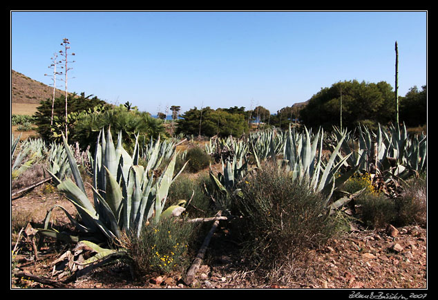 Andalucia - Cabo de Gata -