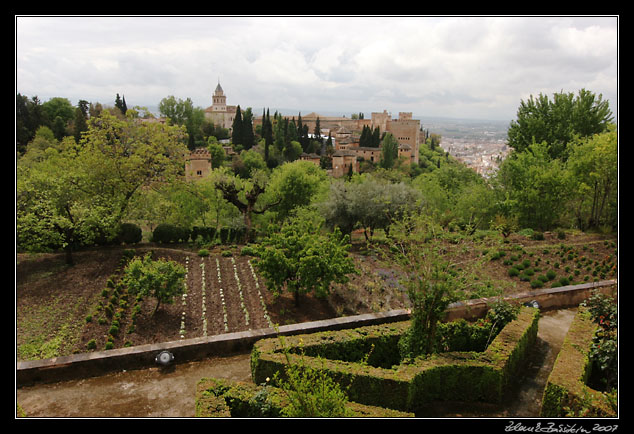 Andalucia - Generalife gardens, Granada