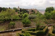 Andalucia - Generalife gardens, Granada
